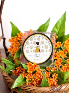 風にほのめく金木犀の香り.ꕤ*.゜
心ときめく秋の香りをそのまんま🧡

コトノカ 練り香水 金木犀の香
手首やうなじに少しのせるだけ。
体温でとけると、ふんわり金木犀が咲きます🧡

いつでもどこでも気軽に楽しめる練り香水です！

コトノカ 練り香水 金木犀の香
オンラインショップ｜直営店:よしとよ京都駅店・嵐山店 

#コトノカ #cotonoca #金木犀の香り #キンモクセイ
#fragrantolive#練り香水#solidperfume #秋の香り
#香りのある暮らし#京都お土産 #京都