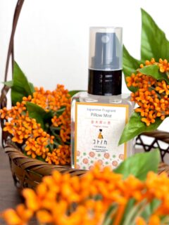 金木犀好きさんに贈りたい金木犀の香り.ꕤ*.゜

ほっとしたい夜に🌙
コトノカ ピローミスト 金木犀の香

枕やぬいぐるみにシュッ🧸✨
ふわりと甘い香りが広がり心をほどいてくれます🧡

除菌、消臭効果◎

やさしい金木犀の香りとともに、夢の中へ💭

コトノカ ピローミスト 金木犀の香
オンラインショップ｜直営店:よしとよ京都駅店・嵐山店 

#コトノカ #cotonoca #金木犀の香り #キンモクセイ
#fragrantolive#ピローミスト#pillowmist #秋の香り
#香りのある暮らし#京都お土産 #京都