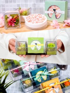 コトノカ×プリザ専花 コラボ【第2弾】
💐かおりんハンドクリームセット
コトノカ人気のハンドクリームと
プリザ専花さんの可愛いプリザードフラワーがセット🌸

ハンドクリーム 【さくら｜金木犀｜檸檬バニラ｜緑茶】
それぞれの香りをイメージしたお花がとてもキュート💕
お気に入りの香りやカラーで選ぶのもよし！
プレゼントや自分へのご褒美にぜひ⸜(*˙꒳˙*)⸝

💐詳しくは…プリザ専花 
 @purizasenka_flower で検索してね🔍

#プリザ専花 #フラワーギフト#ハンドクリーム
#コトノカ #cotonoca