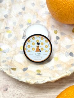 練り香水- ハッサクの香 -
ふわっと香るジューシーなハッサクの香り🍊
ほろ苦さまで再現した練り香水です！

手首やうなじに少しのせるだけ！
体温でやさしく香ります！みずみずしい柑橘の香りを
いつでもどこでも気軽にお楽しみください

コトノカ  練り香水 ハッサクの香 
オンラインショップ｜直営店:よしとよ京都駅店・嵐山店 

#コトノカ #cotonoca #ハッサクの香
#練り香水 #京都お土産
